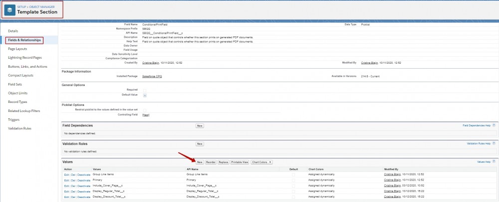 Salesforce CPQ Conditional Print Field Overview in Quote Template Section